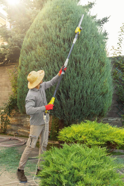 Best Pest Control for Lawns  in Golden Triangle, NJ